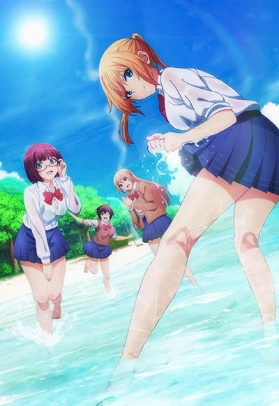 アニメ: Sounan desu ka?