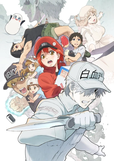 アニメ: Hataraku Saibou!!