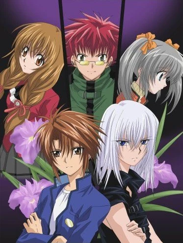アニメ: Spiral: Suiri no Kizuna