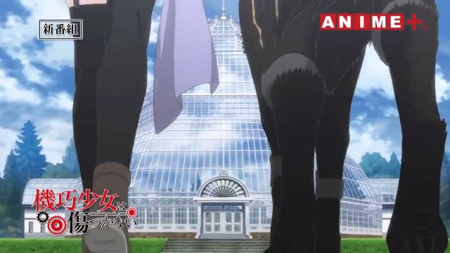 予告編