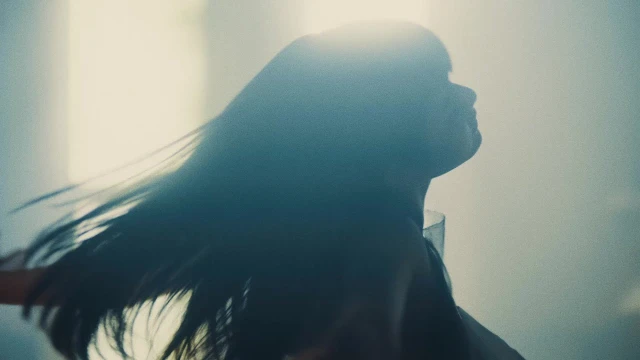 Alchemilla (アルケミラ)