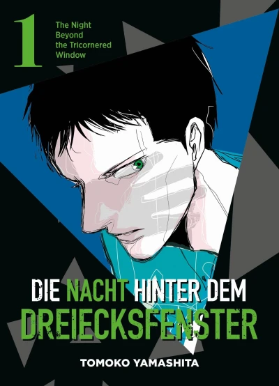 Die Nacht hinter dem Dreiecksfenster - Bd. 01
