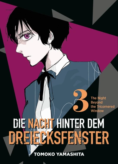 Die Nacht hinter dem Dreiecksfenster - Bd. 03
