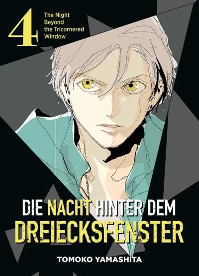 Die Nacht hinter dem Dreiecksfenster - Bd. 04