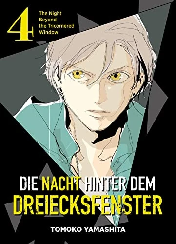 Die Nacht hinter dem Dreiecksfenster - Bd. 04 [eBook]