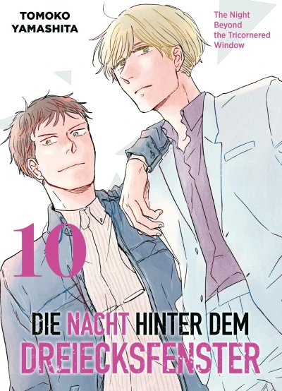 Die Nacht hinter dem Dreiecksfenster - Bd. 10