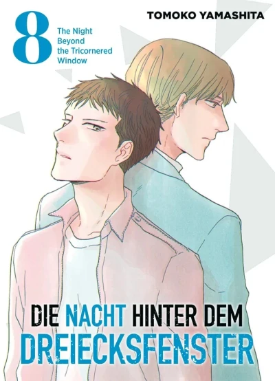 Die Nacht hinter dem Dreiecksfenster - Bd. 08 [eBook]