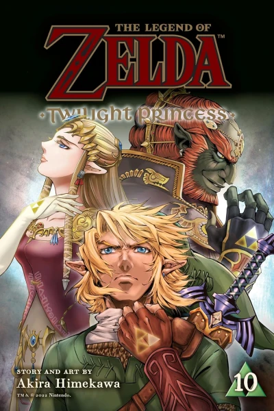 The Legend of Zelda: Twilight Princess - Vol. 10 [eBook]