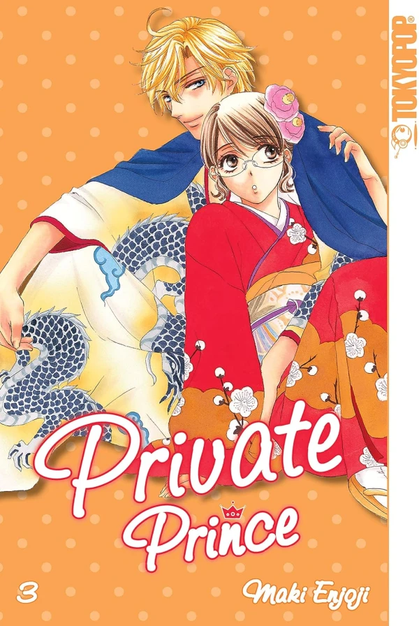Private Prince - Bd. 03 [eBook]
