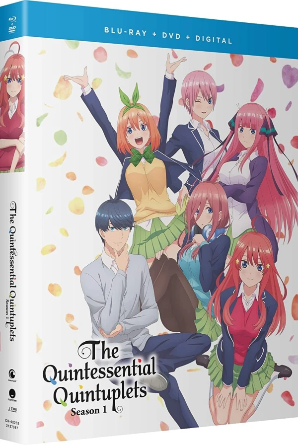 The Quintessential Quintuplets: Season 1 [Blu-ray+DVD]