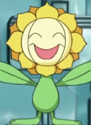 Kimawari
