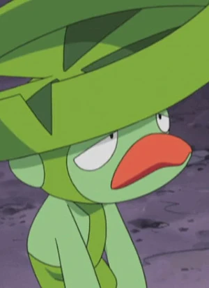 Hasubrero