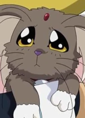 Fuku