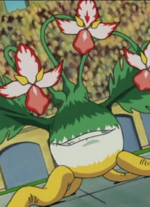 Plant