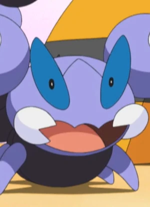 Scorupi