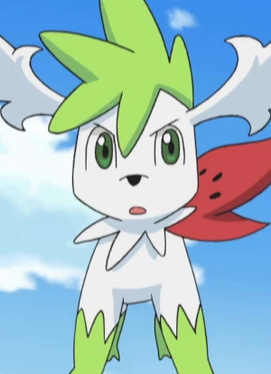 Shaymin