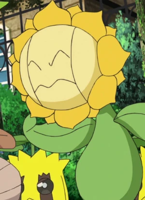 Kimawari