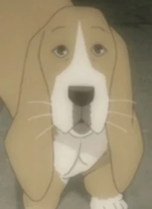 キャラクター: Sasakura's Dog