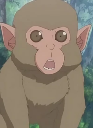 キャラクター: Monkey