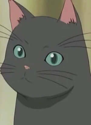 キャラクター: Suzuko's Cat