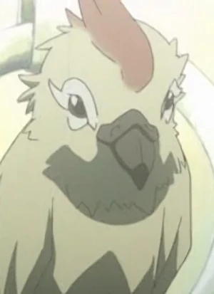 キャラクター: Aru-koto Nai-koto Parrot