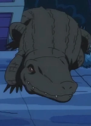 キャラクター: Crocodile