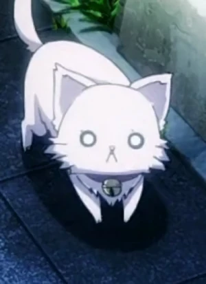 キャラクター: Neko  [Cat Form]