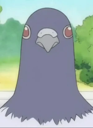 キャラクター: Pigeon