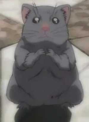 キャラクター: Akuma Hamster