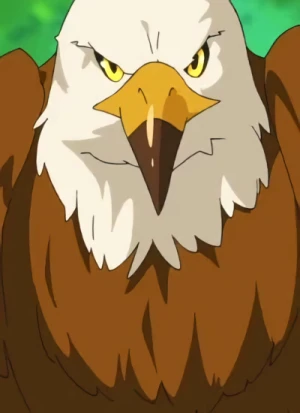 キャラクター: Eagle