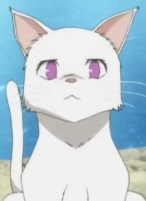 キャラクター: Himari NOIHARA [Cat Form]
