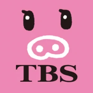 会社: TBS TV Ltd.
