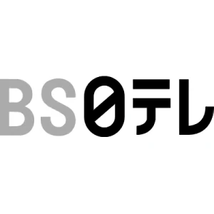 会社: BS Nippon Corporation