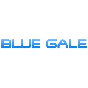 会社: Blue Gale Co., Ltd.