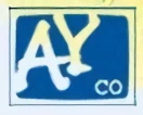 会社: AYCO Inc.