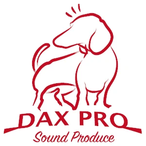 会社: DAX Production Inc.