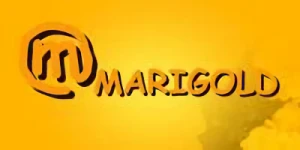 会社: Marigold Co., Ltd. 会社: Marigold Co., Ltd.