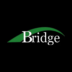 会社: Bridge Inc.
