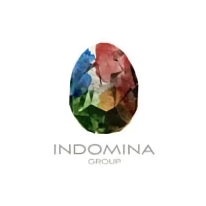会社: Indomina Media, Inc.