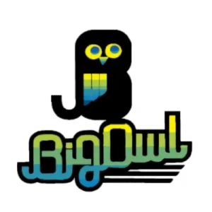 会社: Big Owl