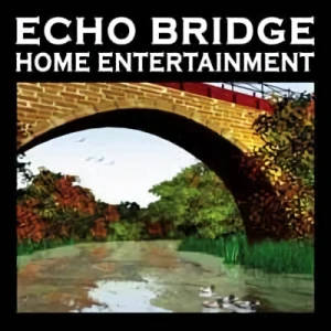 会社: Echo Bridge Acquisition Corp. LLC
