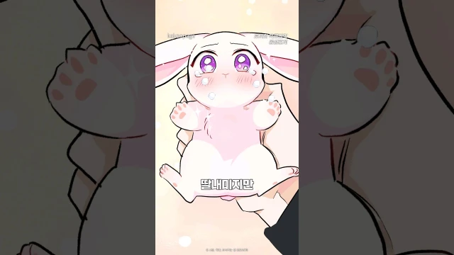 予告編