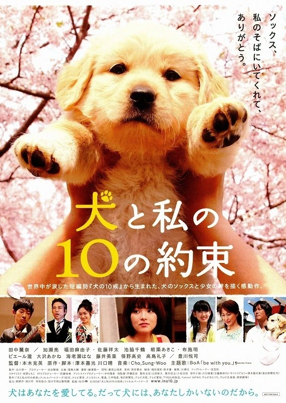 映画: Inu to Watashi no 10 no Yakusoku
