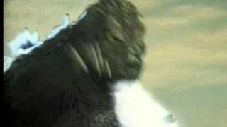 予告編