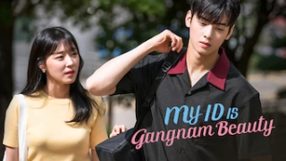 動画配信サービス: My ID is Gangnam Beauty
