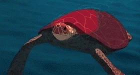 ニュース: „The Red Turtle“ gewinnt Jurypreis bei den Filmfestspielen in Cannes