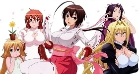 ニュース: „Sekirei“-Anime erhält DVD-Gesamtausgabe
