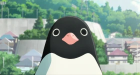 ニュース: „Penguin Highway“-Review: Limited Edition Blu-ray von Kazé