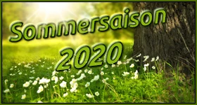 ニュース: Simulcast-Übersicht Sommer 2020